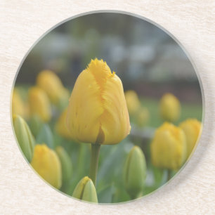 Dessous De Verre En Grès Tulipes jaunes sur le terrain