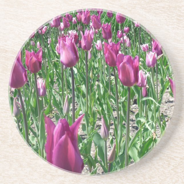 Dessous De Verre En Grès Tulipes violettes du Regal (Devant)