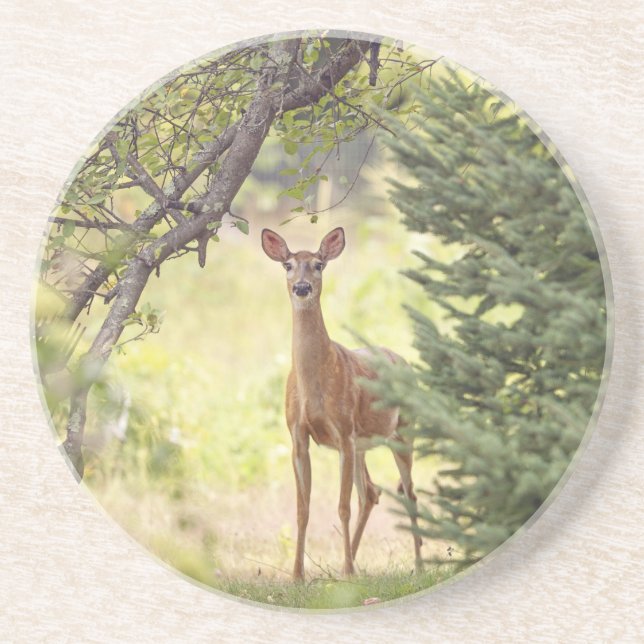 Dessous De Verre En Grès Un cerf solitaire  (Devant)