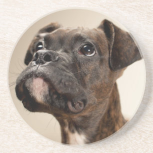 Dessous De Verre En Grès Un chiot Brindle de boxeur recherchant