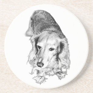 Dessous De Verre En Grès Un lieu pour faire une pause – Dachshund à poils l