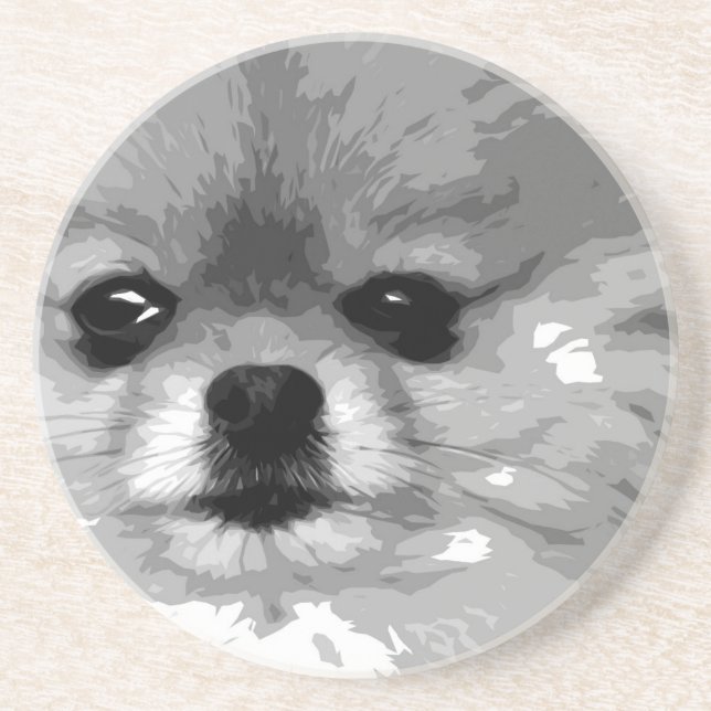 Dessous De Verre En Grès Un Pomeranian noir et blanc (Devant)