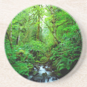 Dessous De Verre En Grès Un ruisseau dans une forêt ancienne