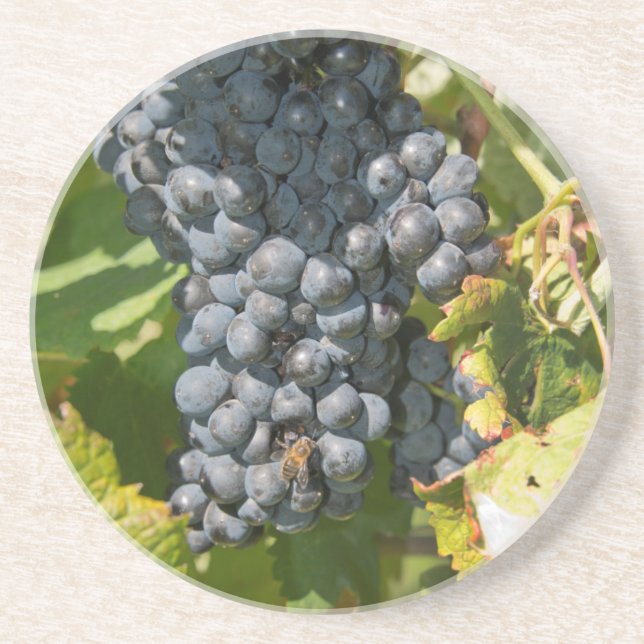 Dessous De Verre En Grès Uruguay, Montevideo, Colon Area. Bodegas (Devant)