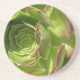 Dessous De Verre En Grès Vert