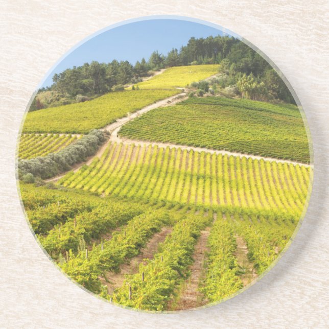 Dessous De Verre En Grès Vignoble, Stellenbosch, Cap-Occidental (Devant)