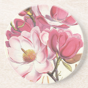 Dessous De Verre En Grès Vintage Magnolia Tree Blossom, Pink Garden Flowers