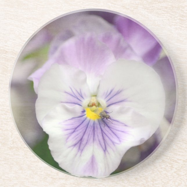 Dessous De Verre En Grès Violas violets et blancs par Shirley Taylor (Devant)