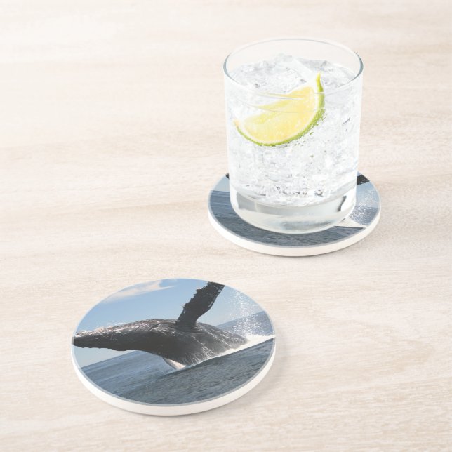 Dessous De Verre En Grès Violation adulte de baleine de bosse (Côté)