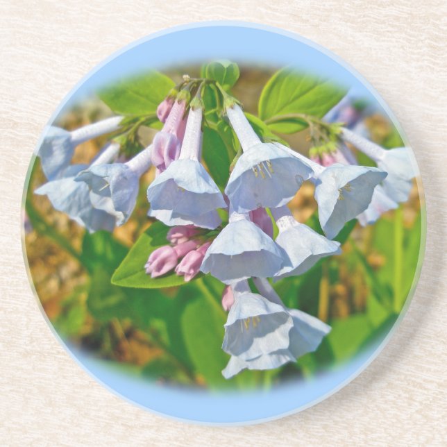 Dessous De Verre En Grès Virginia Bluebells Fleur sauvage (Devant)