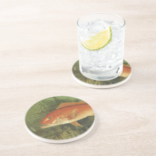 Dessous De Verre En Grès Vivaneau rouge par Kilbourne, Vie marine vintage