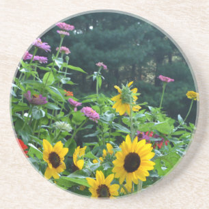 Dessous De Verre En Grès Vue jardin- tournesol, marguerites, cosmos