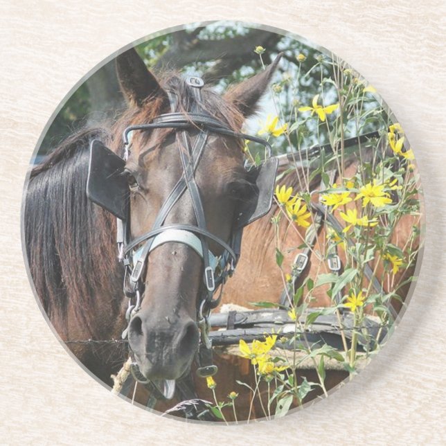 Dessous De Verre En Grès Waiting amish horse (Devant)
