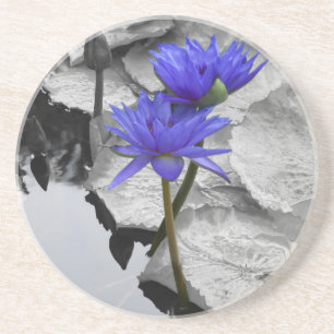 Dessous De Verre En Grès Water Lily Love