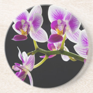 Dessous De Verre En Grès White and purple orchid