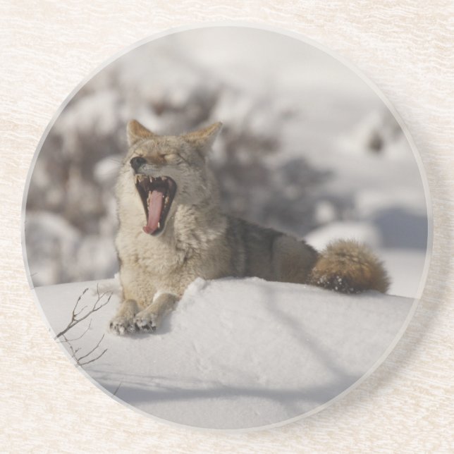 Dessous De Verre En Grès Yawn Neige Coyote (Devant)