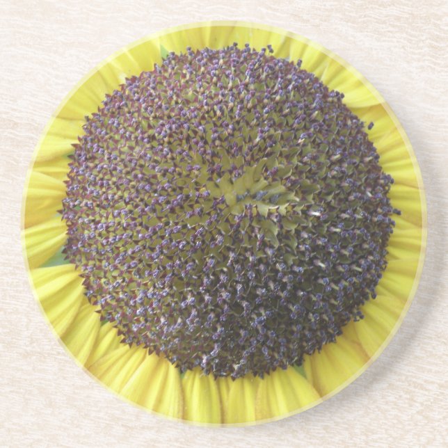 Dessous De Verre En Grès Yellow Sunflower Coasters (Devant)
