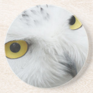 Dessous De Verre En Grès Yeux de hibou neigeux