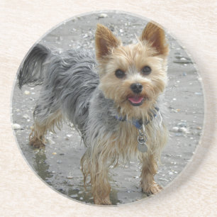 Dessous De Verre En Grès Yorkie