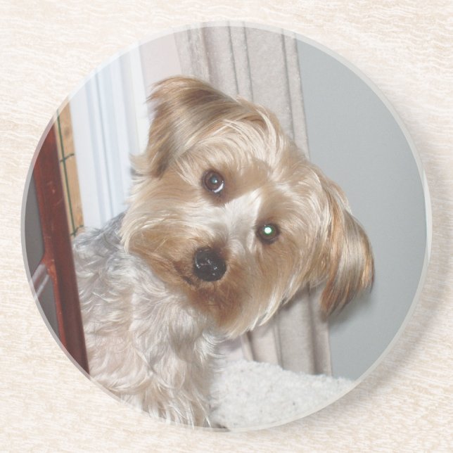 Dessous De Verre En Grès Yorkie à l'angle (Devant)