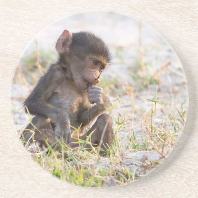 Dessous De Verre En Grès Young Baboon (Devant)