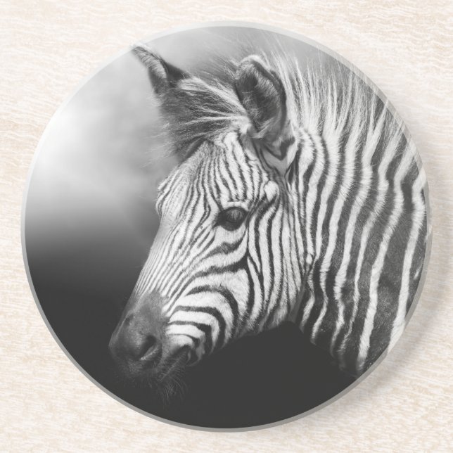Dessous De Verre En Grès Zebra Foal (Devant)