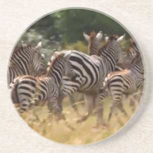 Dessous De Verre En Grès Zèbres en mouvement : Un voyage de mille milles