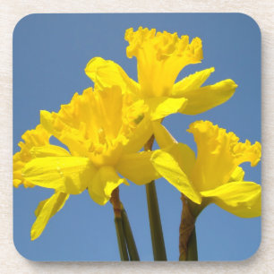 Dessous de verre en liège nature Fleurs de jonquil
