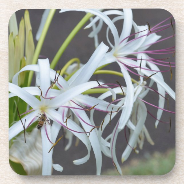 Dessous de verre en liège parfum floral (Devant)