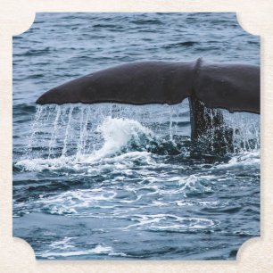 Dessous-de-verre En Papier Baleine de Sperm