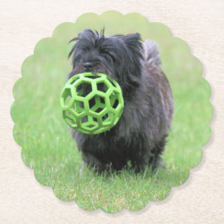 Dessous-de-verre En Papier Cairn terrier