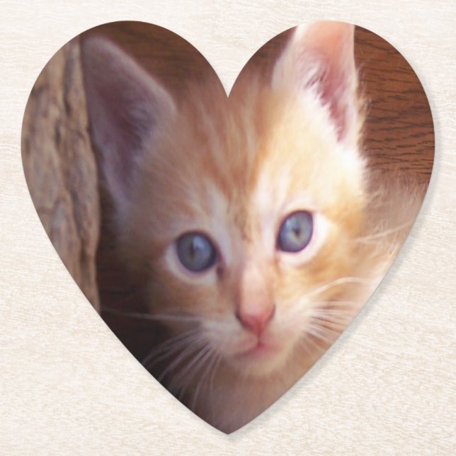 Dessous-de-verre En Papier Chats (Devant)