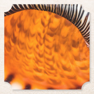 Dessous-de-verre En Papier Coquillage hypnotique