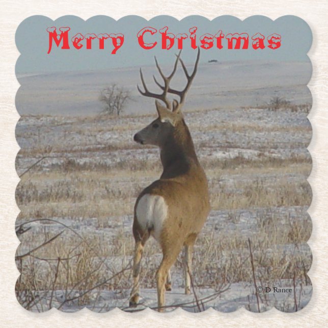 Dessous-de-verre En Papier D 20 Mule Deer Buck in Snow Coaster (Devant)