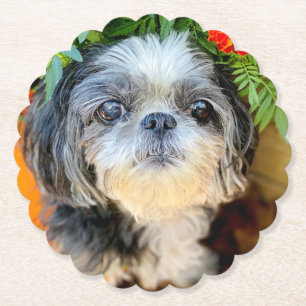 Dessous-de-verre En Papier Dessous de verre papier Shih Tzu