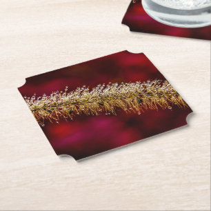 Dessous-de-verre En Papier Dew du matin