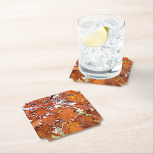 Dessous-de-verre En Papier Feuilles Florales de Chêne d'Automne