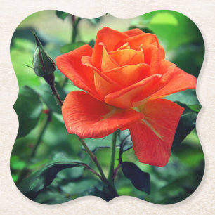 Dessous-de-verre En Papier Fleur de rose de la nature-46458