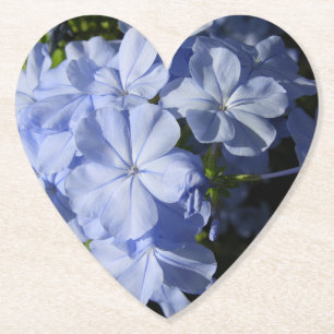 Dessous-de-verre En Papier Hawaiian Blue Plumbago fleur Cushion Dessous de ve