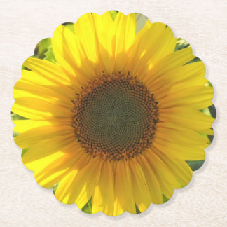 Dessous-de-verre En Papier Lueur de tournesol