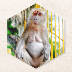 Dessous-de-verre En Papier Macaque crabier