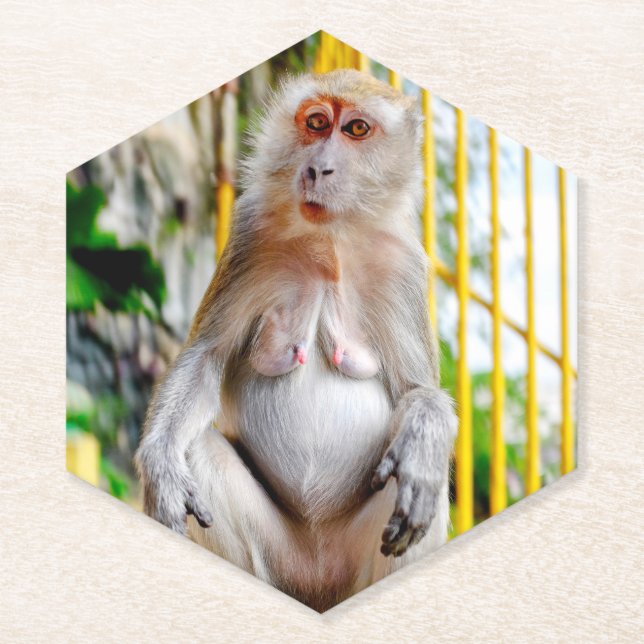 Dessous-de-verre En Papier Macaque crabier (Devant)
