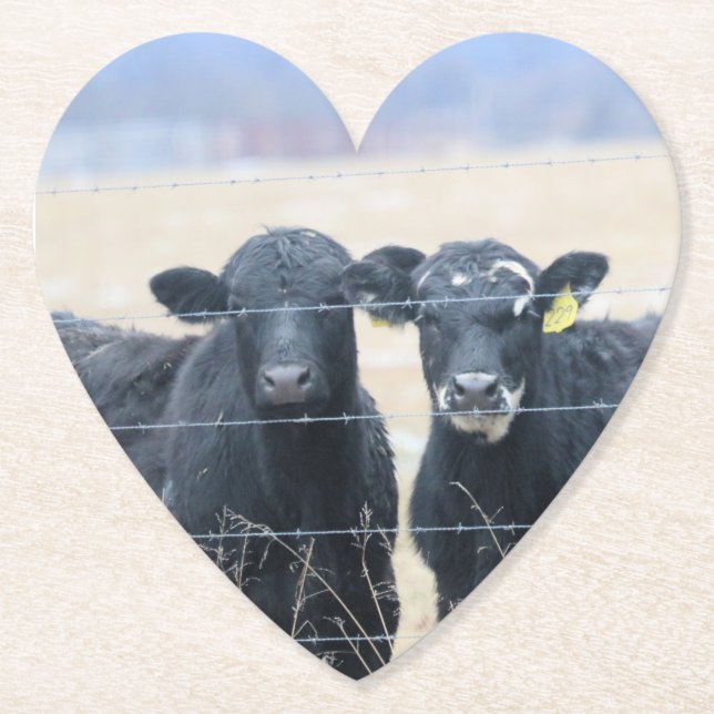 Dessous-de-verre En Papier Observateurs de Bovine (Devant)
