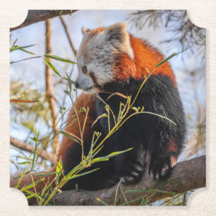 Dessous-de-verre En Papier Panda rouge