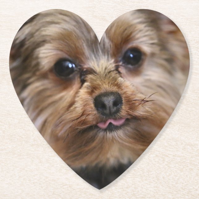 Dessous-de-verre En Papier Pfft ! (Devant)