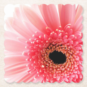 Dessous-de-verre En Papier Photographie de gerbera rose frais