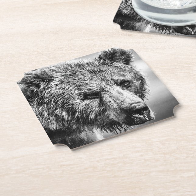 Dessous-de-verre En Papier Portrait d'ours grizzli (Incliné)