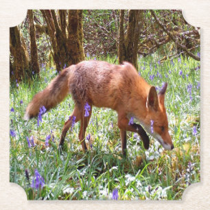Dessous-de-verre En Papier Renard roux dans les campanules Rustique Faune et