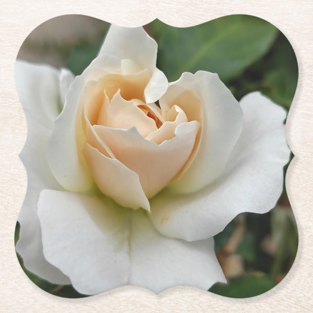 Dessous-de-verre En Papier Rose Blanche (Devant)