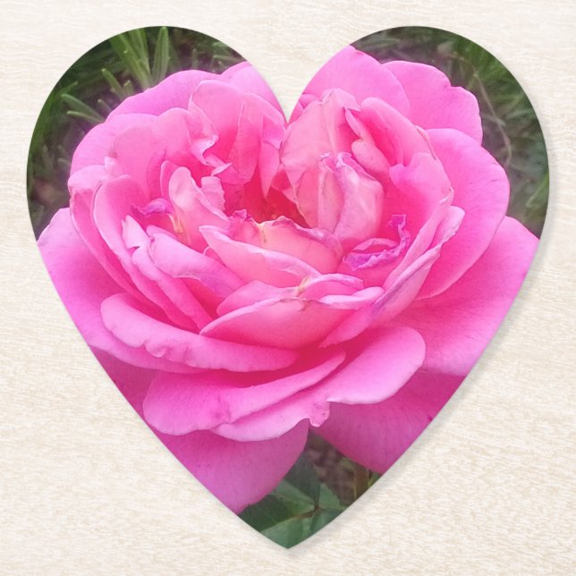 Dessous-de-verre En Papier Rose romantique 'Léonard de Vinci' (Devant)